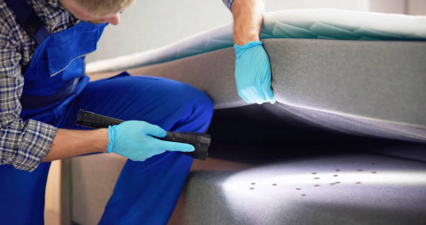 Best Exterminator Services  in Level Green, PA