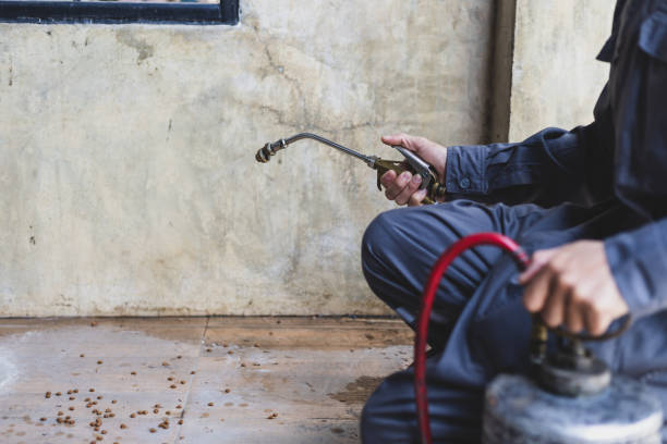Best Best Pest Control Companies  in Level Green, PA